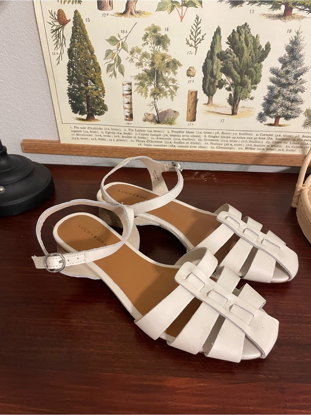 Lucky Brand Zilma Sandals